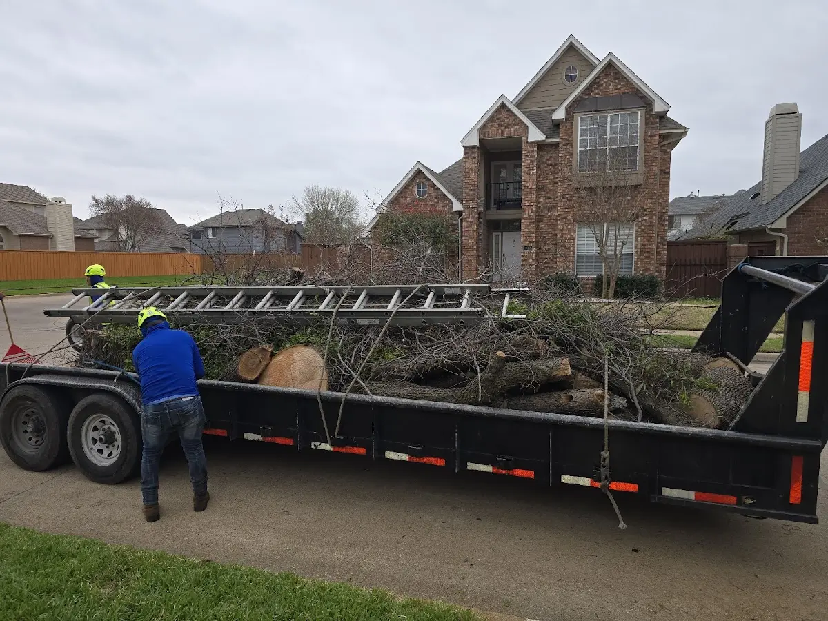 Expert Lot Clearing with proper safety equipment in Woodside